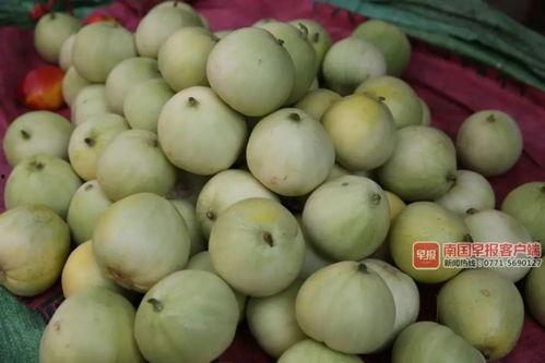 南宁事件吃瓜,揭秘背后真相，吃瓜群众围观风云变幻