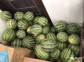 上午吃瓜的视频