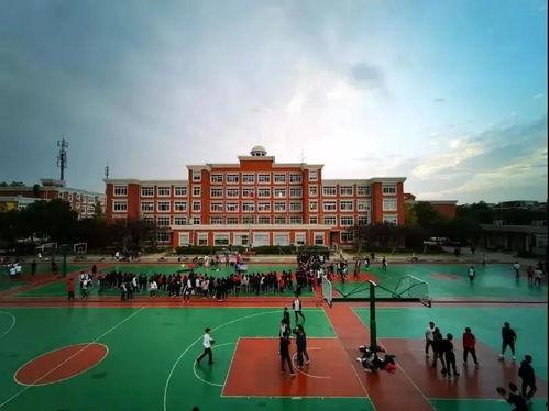 呼伦贝尔学院吃瓜,一场别开生面的“吃瓜”盛宴