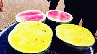 琼海吃瓜爆料,吃瓜爆料揭示幕后真相