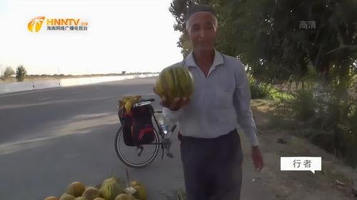 吃瓜骑行者,吃瓜骑行者的趣味骑行之旅
