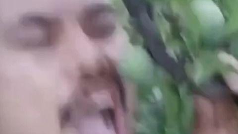 隐晦吃瓜视频大全,隐晦吃瓜视频背后的趣味世界