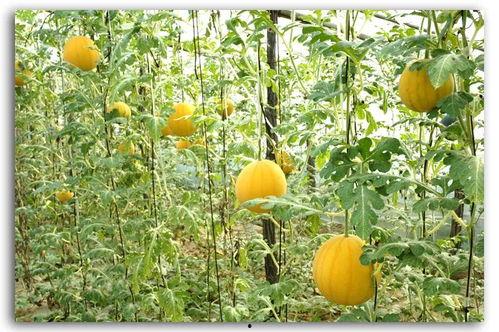 5月吃瓜事件,盘点那些引人瞩目的娱乐圈风云